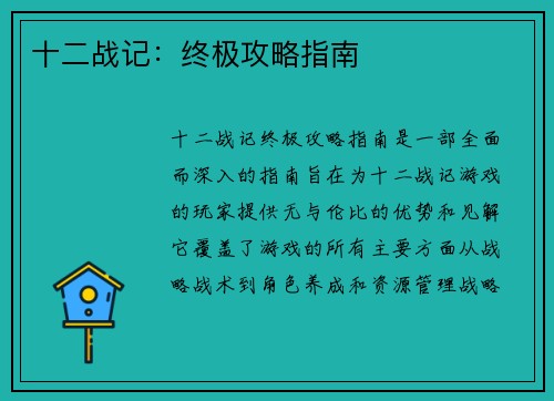 十二战记：终极攻略指南